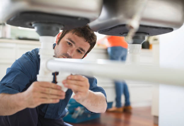 Best Plumbing Inspection Services  in St Michaels, MD